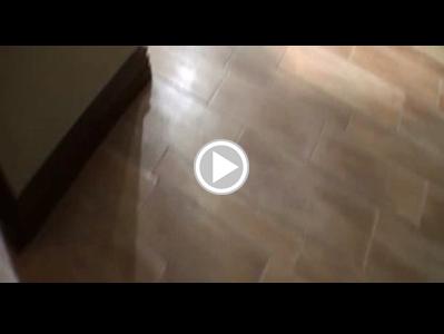 Download norkys batista porn video mp4